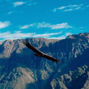 tours-colca-2-dias-1-noche