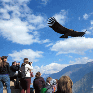 tours-colca-full-day