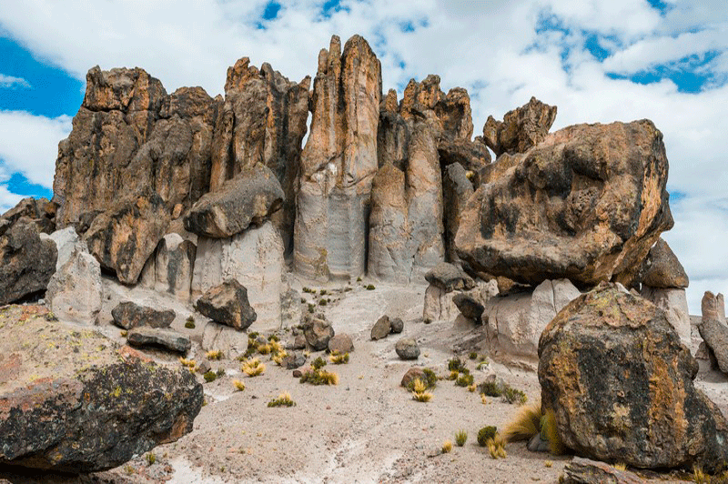 tours-pillones-bosque-de-piedras tours-pillones-bosque-de-piedras