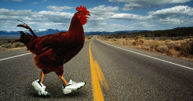 Descubre el Exclusivo Juego de La Carrera de Pollos en línea en España