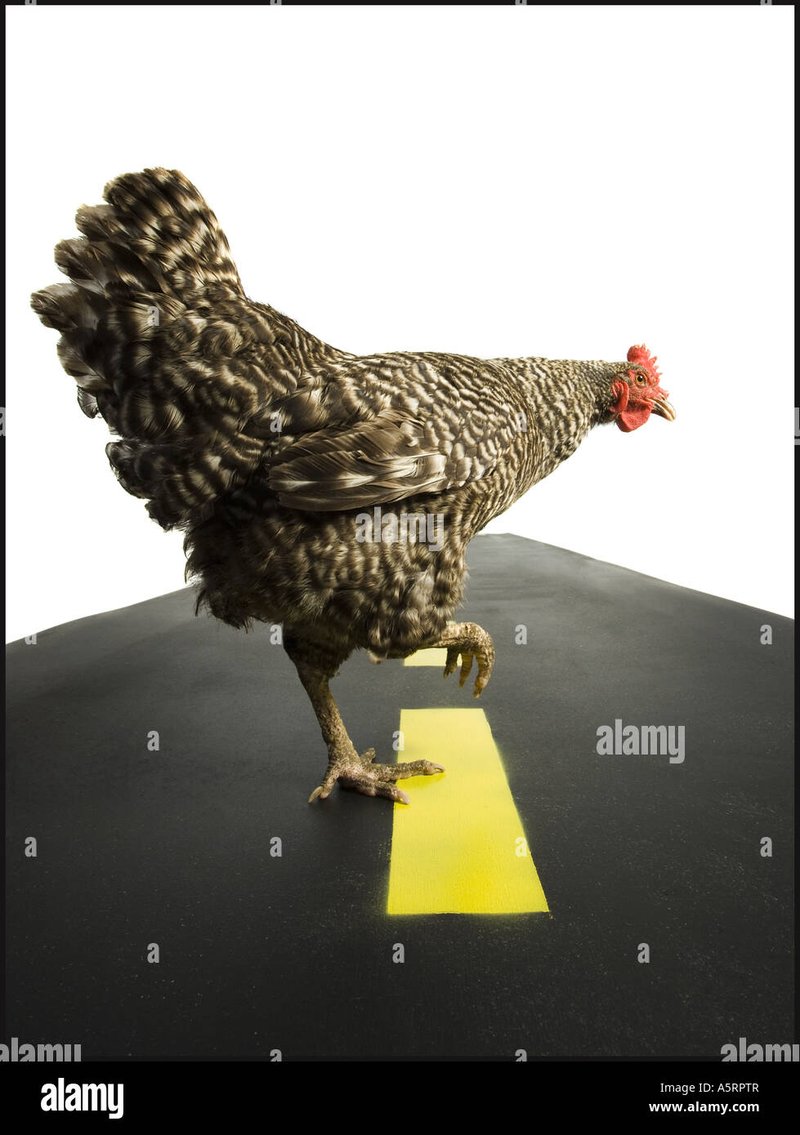 Descubre el Exclusivo Juego de Azar en Chicken Road Casino Oficial de España